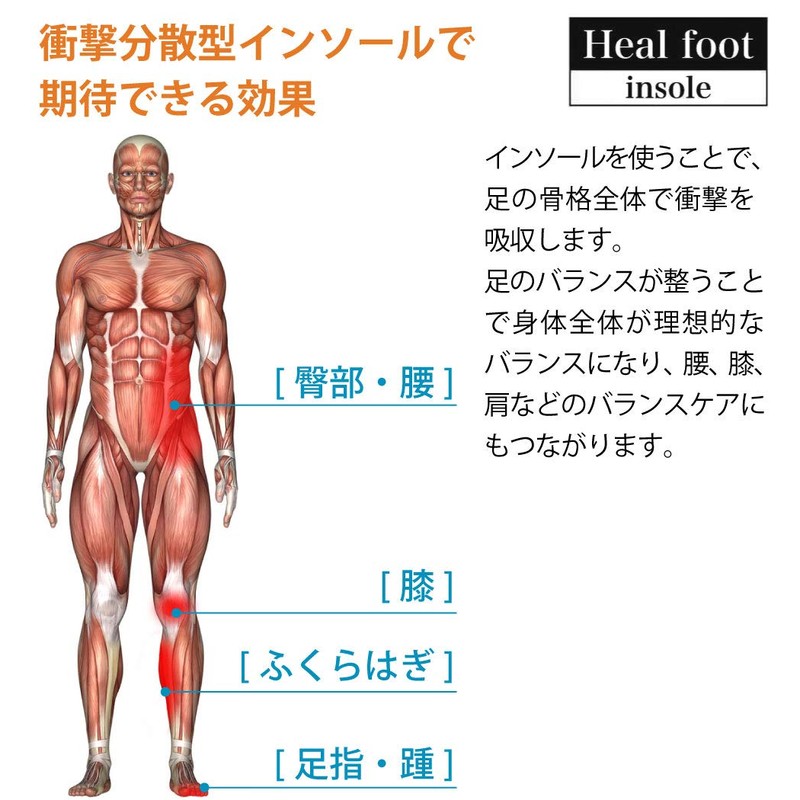 Heal foot Insole, Ergonomic Shock Dispersion Absorbent Insole (Large)