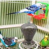 2GR Automatic Bird Feeder and Water Dispenser – Versatile Outdoor