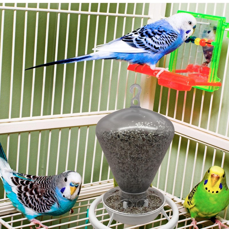 2GR Automatic Bird Feeder and Water Dispenser – Versatile Outdoor