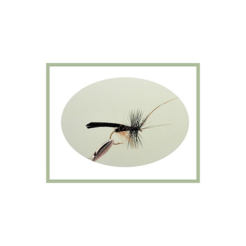 12 Special Dry Trout Flies, Black Horn Sedge, G &