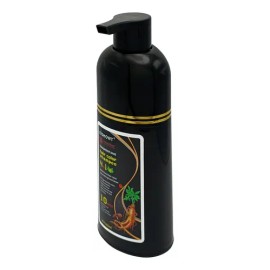 Shampoo Tinte 4 En 1 Eishowt 500 Ml Cubre Canas Negro 2 Pzas