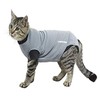 Kruuse Buster Padded Cat Protective Suit, 2X-Small