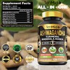 Tenmido Ashwagandha Supplements - 6in1 with Turmeric, Rhodiola, Ginger, Holy