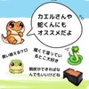 Wet Shelter, Leopa, Cave Cave, Lizard, Snake, Reptile, Shelter, Leopa,