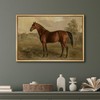 SIGNFORD Framed Canvas Print Wall Art Equestrian Portrait of a