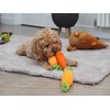 Smart Garden ZOON Plush Fun Tugga Carrots tug of war