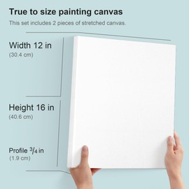 PHOENIX 12x16 Inch Pack of 2 Artist Canvas - Stretched Canvases for Painting - 3/4 Inch Profile, 100% Cotton 11 Oz. Gesso Primed White Blank Professional Canvas Oil & Acrylic Paints