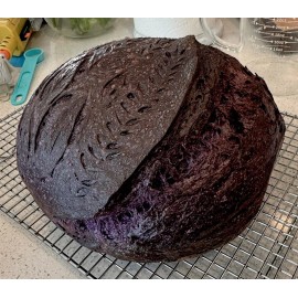 Great Grandmas San Fran Sourdough Starter Black Death | Sourdough Starter – Make RYE Sour  ORGANIC Dehydrated