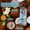 Herbal Essences Shampoo Classics Hidrata Agua de Coco & Jazmín