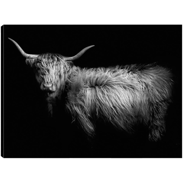 Fine Art Canvas Hello Canvas Wall Decor by Artist Incado