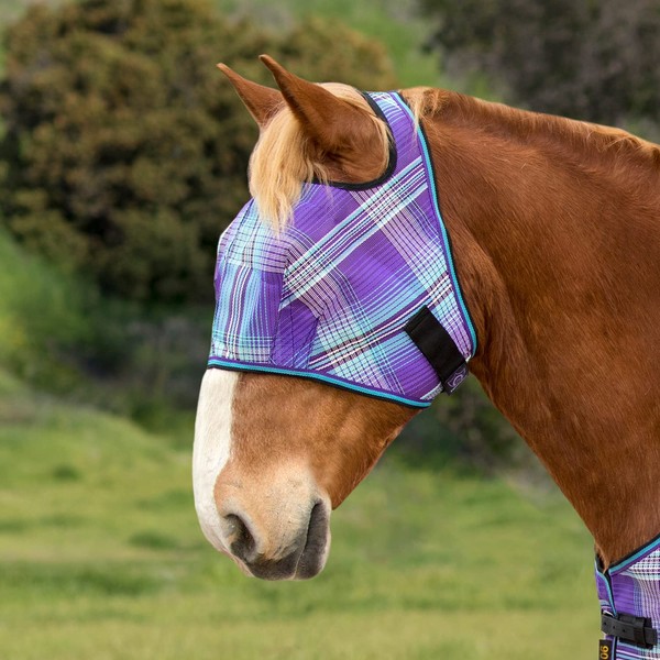 Kensington Fly Mask Web Trim — Protects Horses Face and