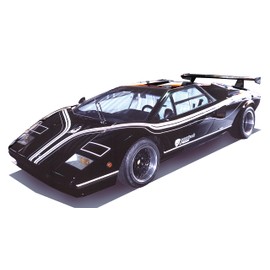 Fujimi Model 1/24 Real Sports Car Series No.39 Countac LP500R RS-39