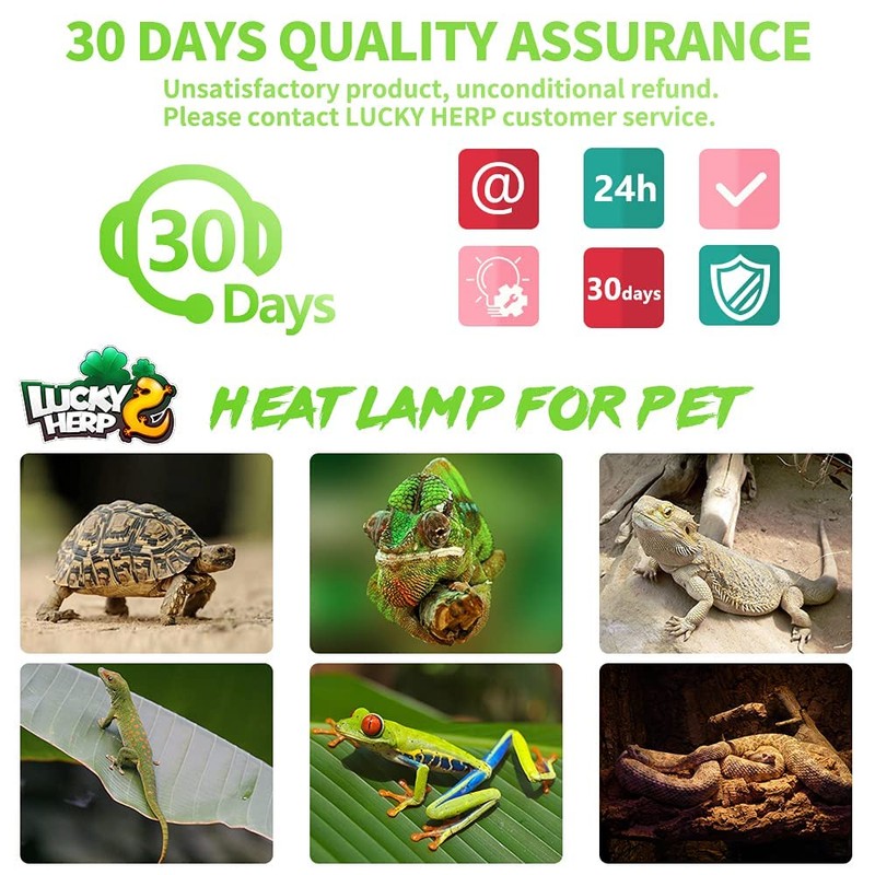 LUCKY HERP 4 Pack 50W Reptile Heat Lamp Bulb (2nd