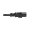 Tripp Lite C20 to C21 Power Cord for 250V Servers,