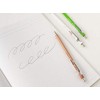 Slip-On B-WBP-3801 Wooden Axis Ballpoint Pen L, Long Size, Wooden,