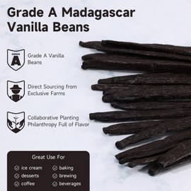 SPICEEL Madagascar Vanilla Beans Grade A Vanilla Pods for Making Extract, Whole 5" - 7" Vanilla Beans for Baking, 25 Counts