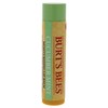 Burt's Bees Cucumber Mint Moisturizing Lip Balm for Women, Orange,