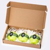 Fun Soaps Fun Soaps Apple Adventure: Vegan 3-Pack Hand &