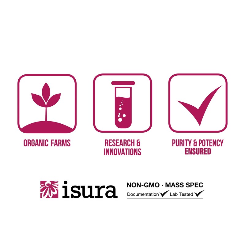 Natural Factors, BioCoenzymated Active B Complex, 60 Capsules (60 Servings)