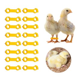 XFJYMXDM 16 Pieces Baby Chick Leg Hobbles, Baby Chicken Splay Leg Hobble Brace Chicken Hobble Braces for Newborn Spraddle Leg Repair of Chick 1 to 3 Days Newly Hatched for Quails Ducks Bird Parrot
