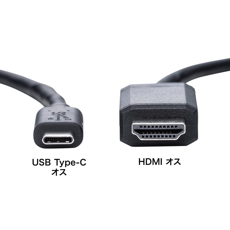 Sanwa Supply KC-ALCHD30K Type C-HDMI Converter Cable (Black, 9.8 ft