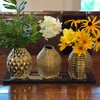 WHW Whole House Worlds Iconic Golden Vases, Set of 3,