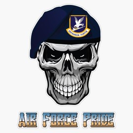 Defensor Fortis Air Force Pride Window Bumper Sticker Decal 5"