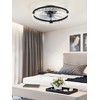 LEDIARY 20 Inch Low Profile Ceiling Fans with Lights and