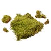 MaMeMi MOOS Bag Crib Moss / Decorative Moss for Crafts