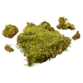 MaMeMi MOOS Bag Crib Moss / Decorative Moss for Crafts and Decorating [Nativity Scene Accessories/Accessories for Nativity Scenes]