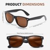 Hiking Vision Classic Polarized Sunglasses Mens & Womens, Lightweight UV400