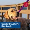 Coastal Pet Double-Ply Dog Leash - Bolt Snap Attachment to