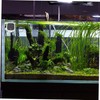 KONTONTY Digital Aquarium Thermometer Stick Design for Accurate Temperature Readings