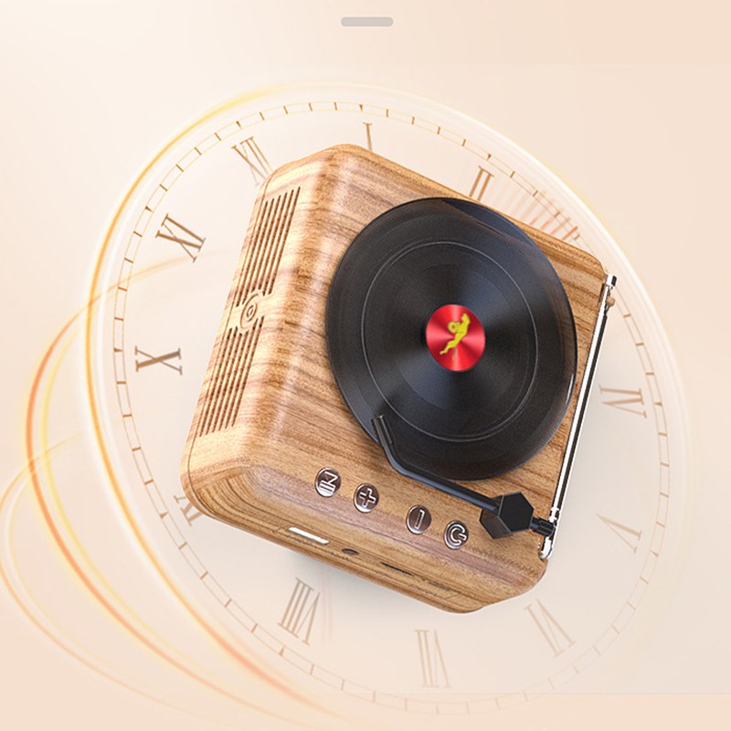 Vinyl Record Bluetooth Speaker Innovative Mini FM Radio HiFi Stereo