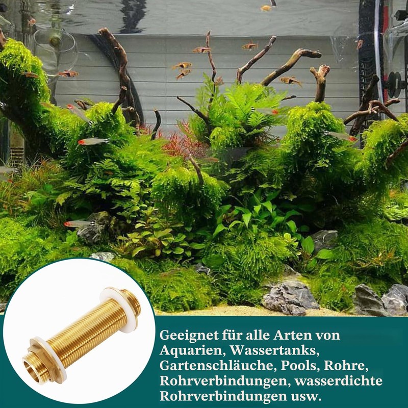 Brass Bulkhead Fitting G3/4 Hose Fitting, Solid Brass Bulkhead Fitting,