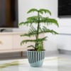 minify Blumentopf-Set mit 3 Größen ⌀149/165/188mm Design-Pflanztöpfe für Innen- und