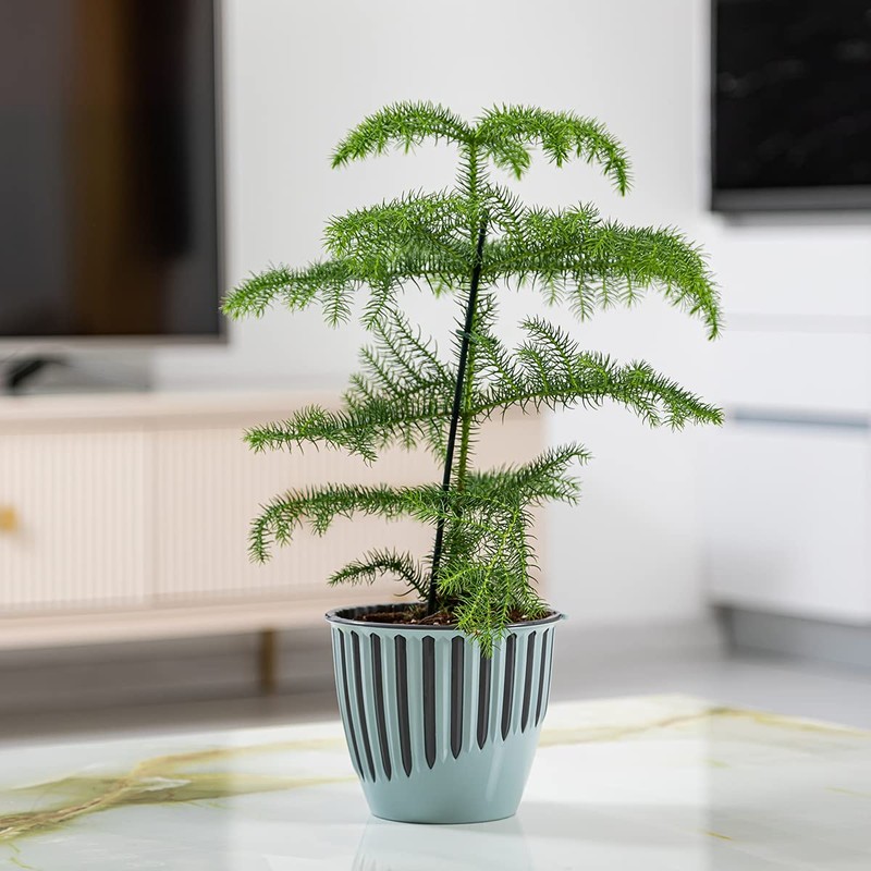 minify Blumentopf-Set mit 3 Größen ⌀149/165/188mm Design-Pflanztöpfe für Innen- und