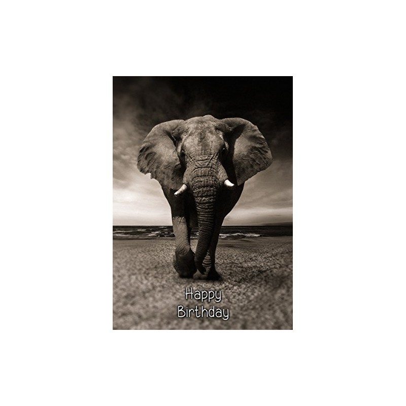 Elephant Birthday Card