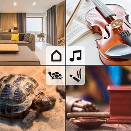 TFA Dostmann 1 x Mini Thermometer & 1 x Thermo-Hygrometer Set, 95.2020.01, Humidity Meter with Precise Room Thermometer, with Smiley Display, Ideal for Home, Office, Bedroom, Black