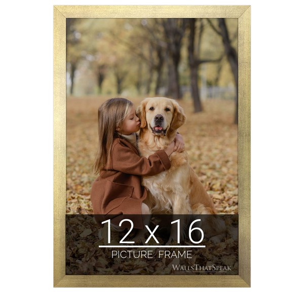 wallsthatspeak 12x16 Gold Picture Frame for Puzzles Posters Photos or