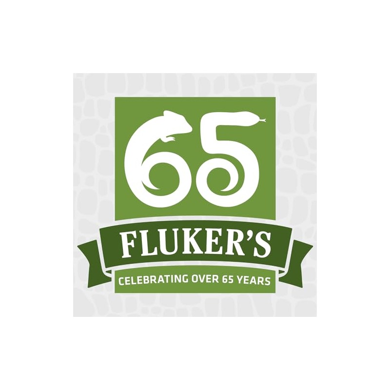 Fluker's Corner Rock Bowl, Food & Water Dish for Hermit