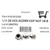 1/4-28 Acorn Cap Nuts 18-8 Stainless Steel - Fine Thread