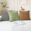 CaliTime Throw Pillow Covers Decorative 20 X 12 Inches Pack