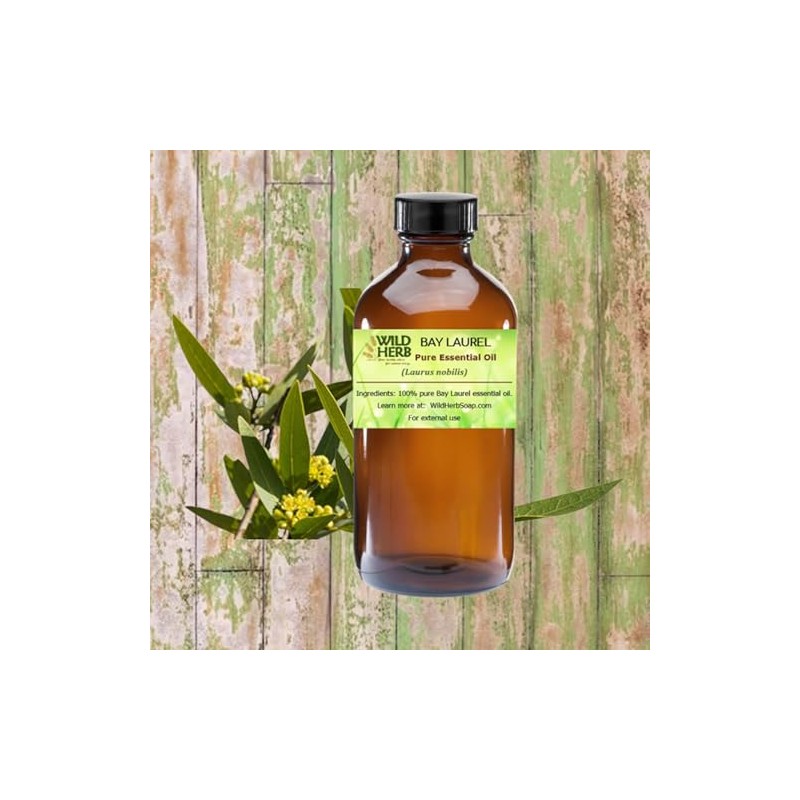 Wild Herb Bay Laurel Pure Essential Oil (4 OZ)