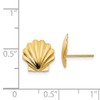 Solid 14k Yellow Gold Shell Post Studs Earrings (10mm x
