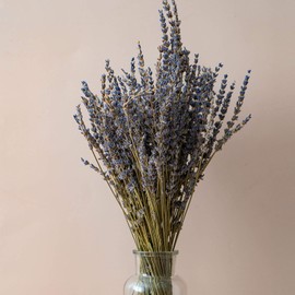 CoolCrafts Dried Lavender Bundles Lavender Bunches Dry Lavender Flowers for Home Decor, Crafts, Wedding Bouquets
