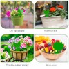 Boromine Fruit Fly Traps - 60 Pack Non-Toxic Green Stick