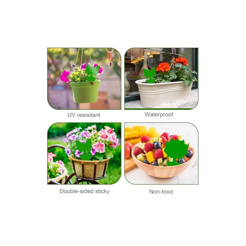 Boromine Fruit Fly Traps - 60 Pack Non-Toxic Green Stick