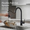 KINGO HOME Kitchen Faucets with Pull Down Sprayer,Matte Black,Lead-Free