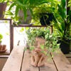 Face Planter Pots Head Planter Face Flower Pot Head Planter